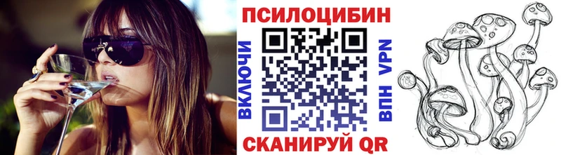 Купить закладки  Заринск  Псилоцибиновые грибы Psilocybe 